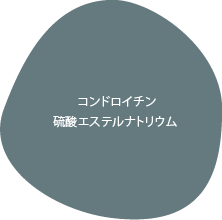 コンドロイチン、
          硫酸エステルナトリウム
