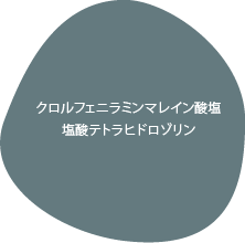 クロルフェニラミンマレイン酸塩、
          塩酸テトラヒドロゾリン
          